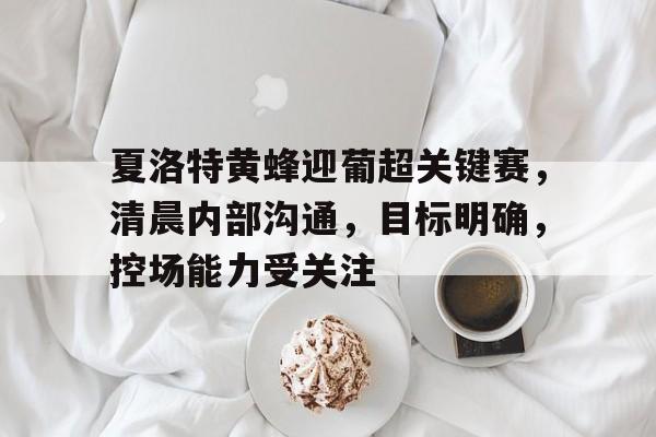 夏洛特黄蜂迎葡超关键赛，清晨内部沟通，目标明确，控场能力受关注的简单介绍-爱游戏